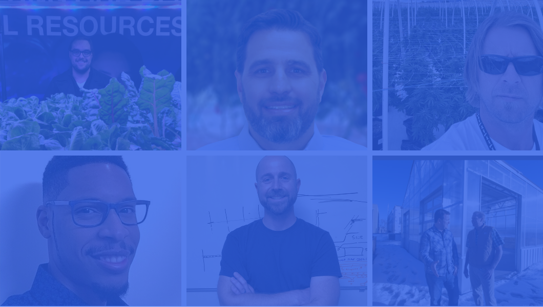 Claves para el Éxito en Horticultura Protegida