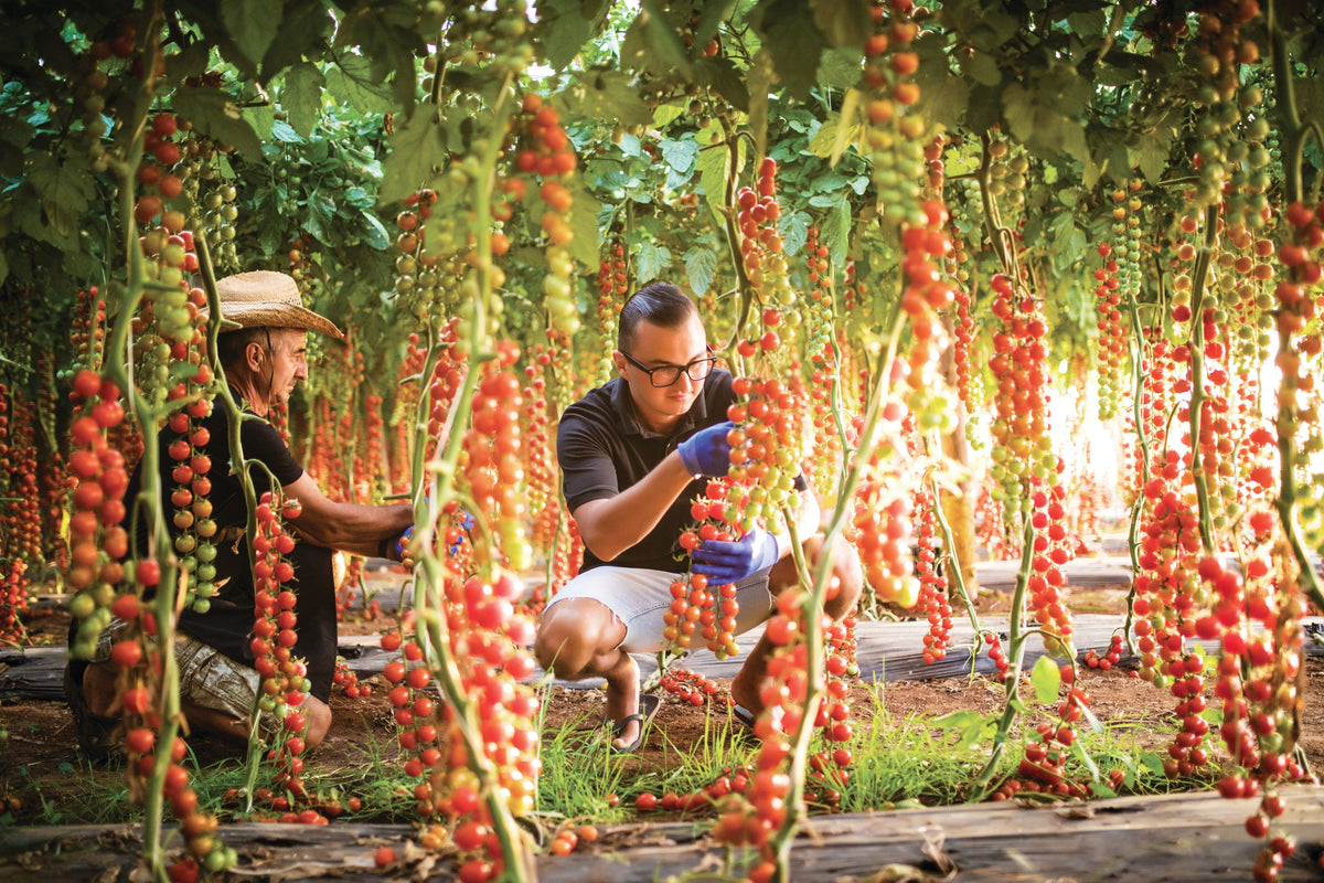 ¿Qué es el pH, que es un pH Metro, y Cómo se Mide?