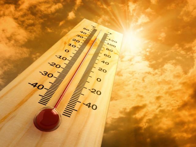 Monitoree y Proteja a sus Cultivos, y a su Ganado en esta Epoca de Calor