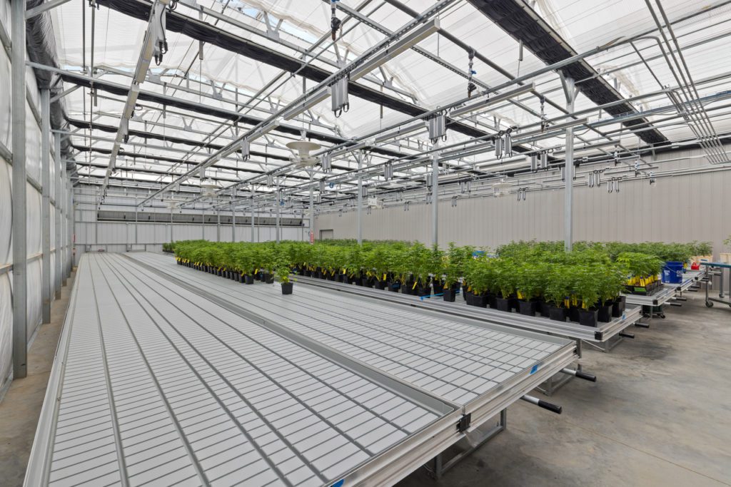 Como Funciona un Sistema de Mesas Hidroponicas (Ebb & Flow)