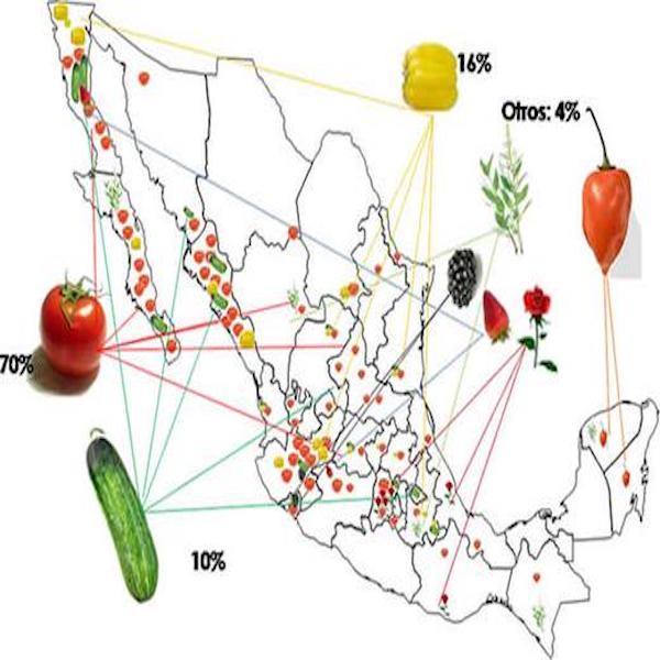 6 Puntos que van a Influir en la Economia Agricola Mexicana
