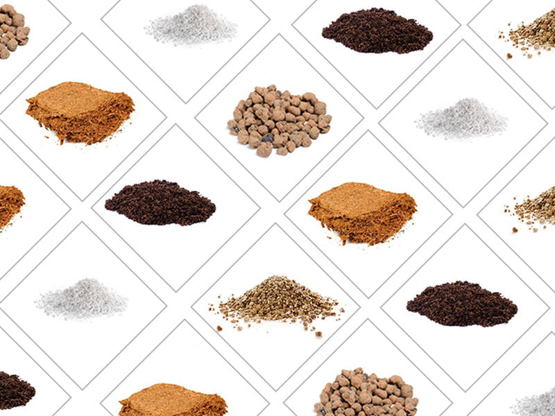 ¿Como Elegir el Sustrato Adecuado para su Cultivo?