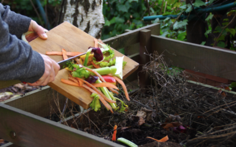 Seis Beneficios de Preparar Composta