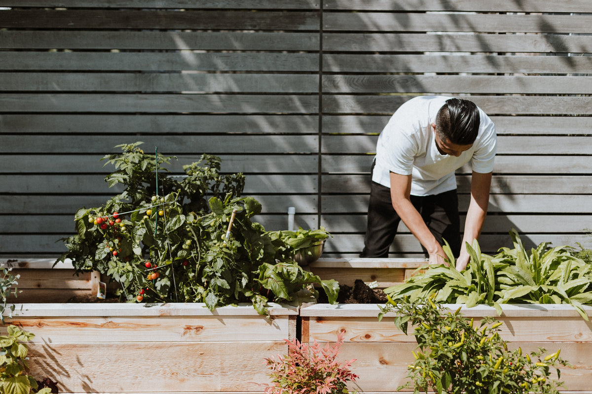 Fertile GroundWorks: Jardín Comunitario y Educación Verde