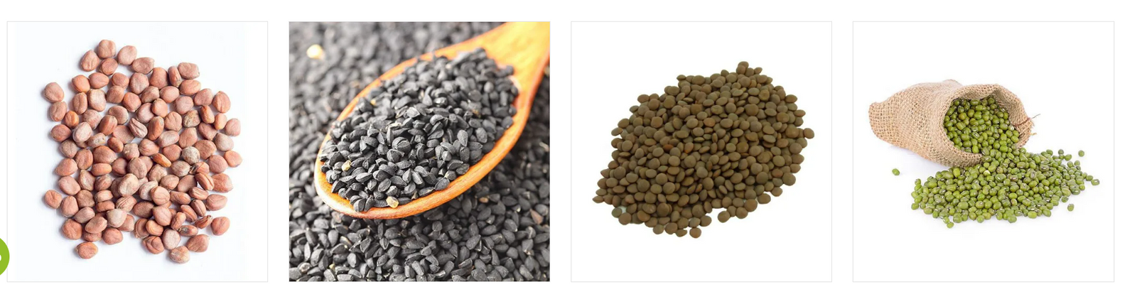 Semillas Certificadas para Germinados, Brotes y Microgreens en México