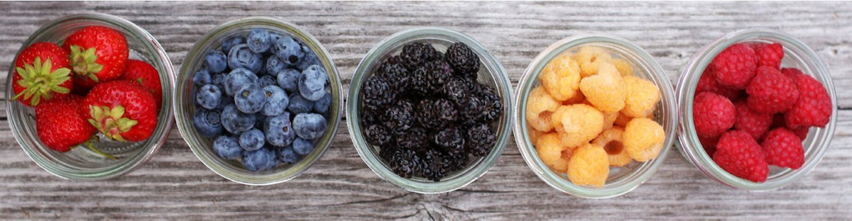 Semillas de Berries