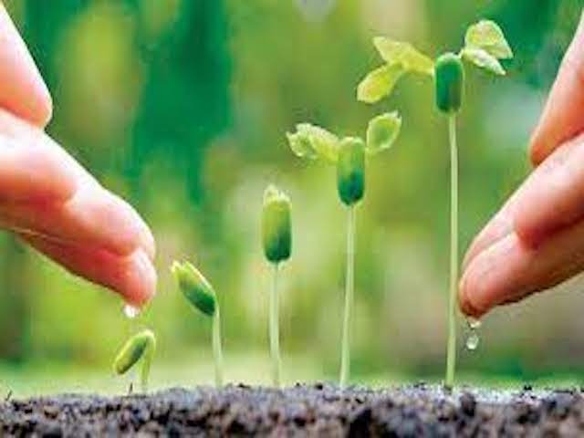 Fertilizantes, Bioestimulantes y Reguladores