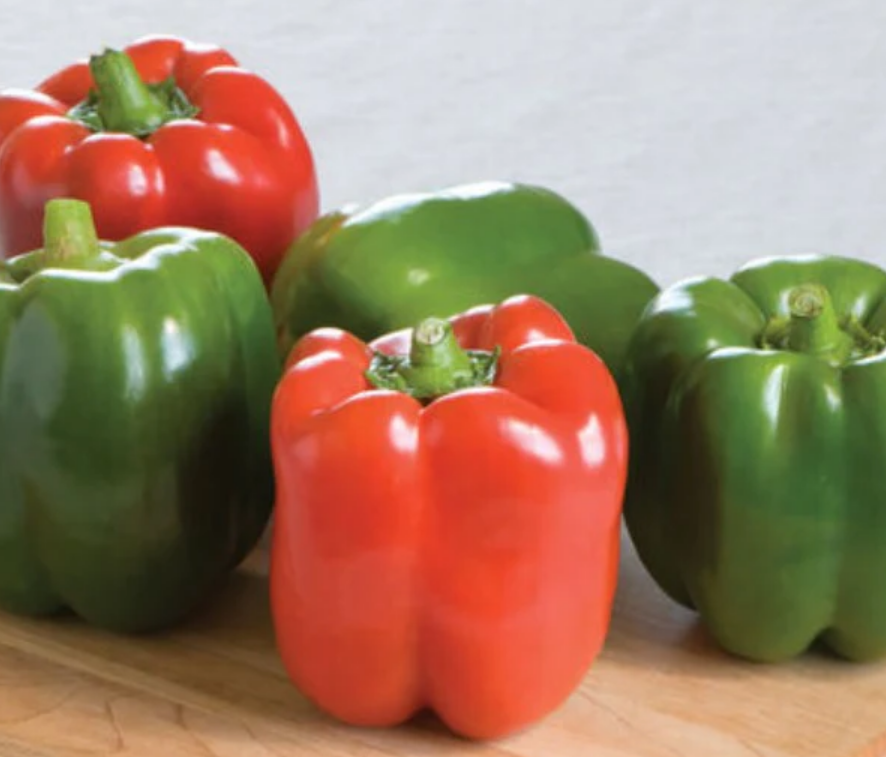 Novedades para 2025 Orgánico