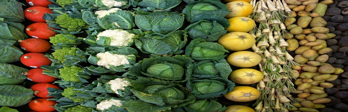 Novedades 2025 Verduras