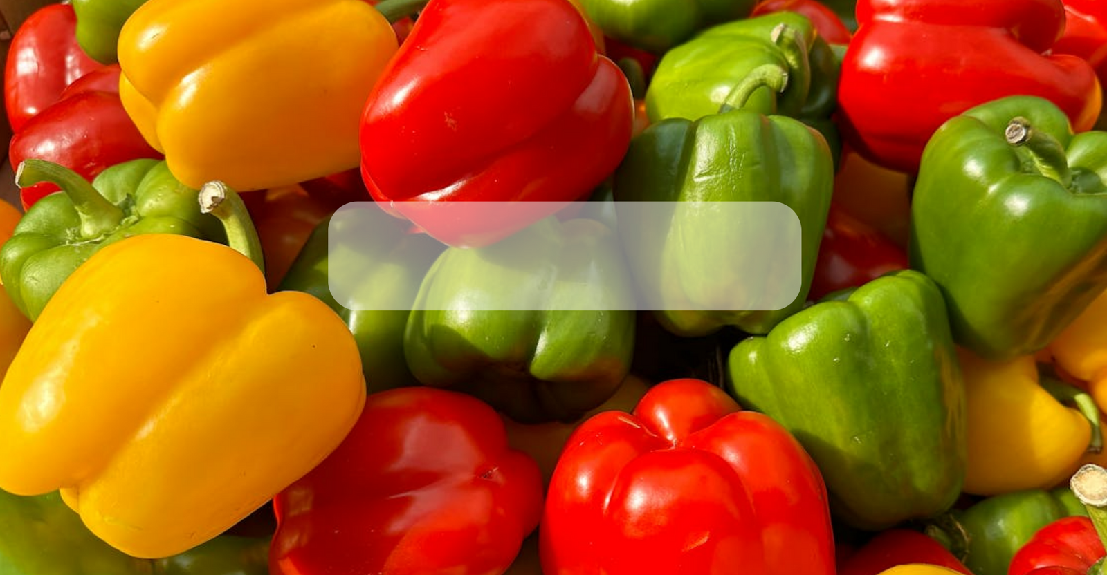 Semillas de Pimiento Morrón Orgánico