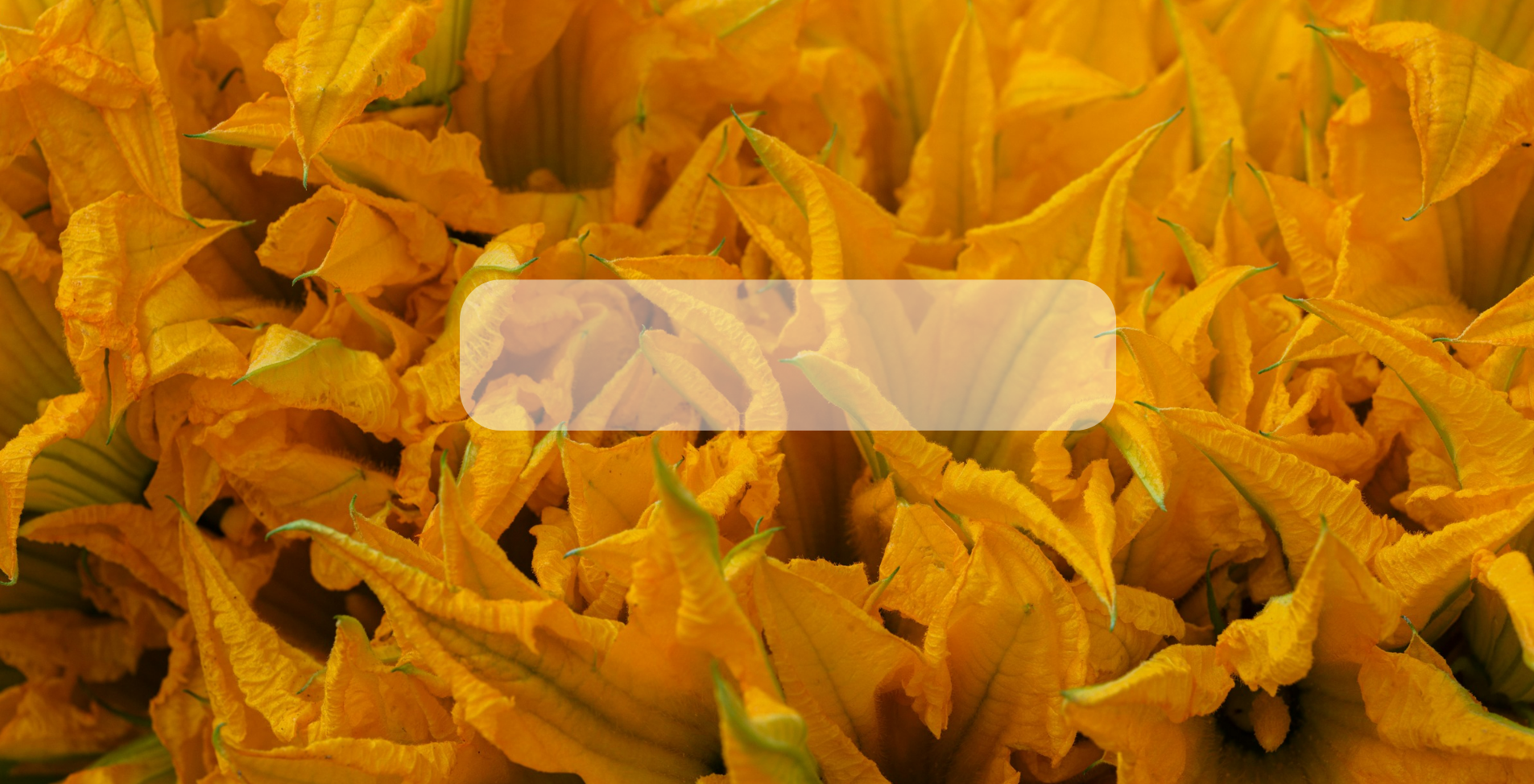 Semillas de Flores Comestibles Organicas