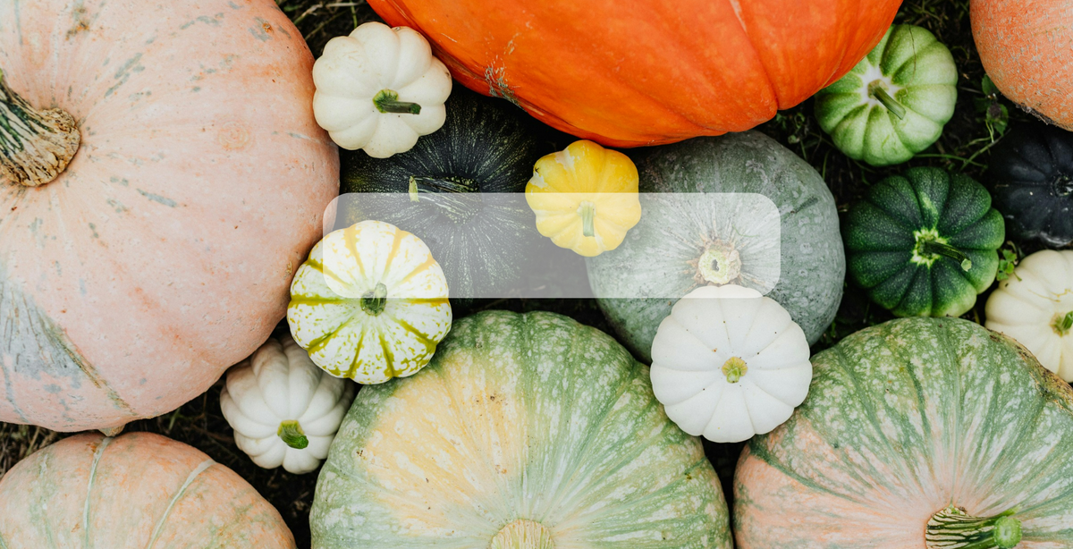 Semillas de Calabazas Orgánicas