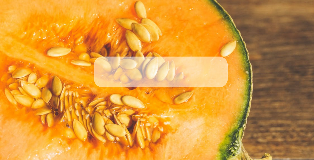 Semillas de Melón Orgánico