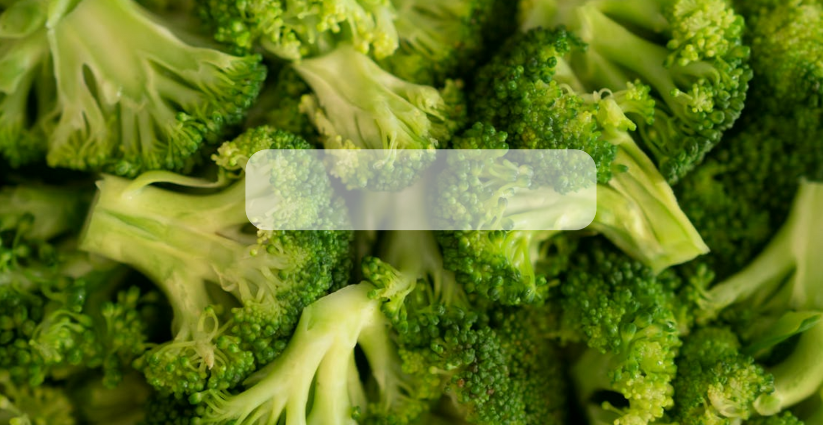 Semillas Brócoli Orgánico