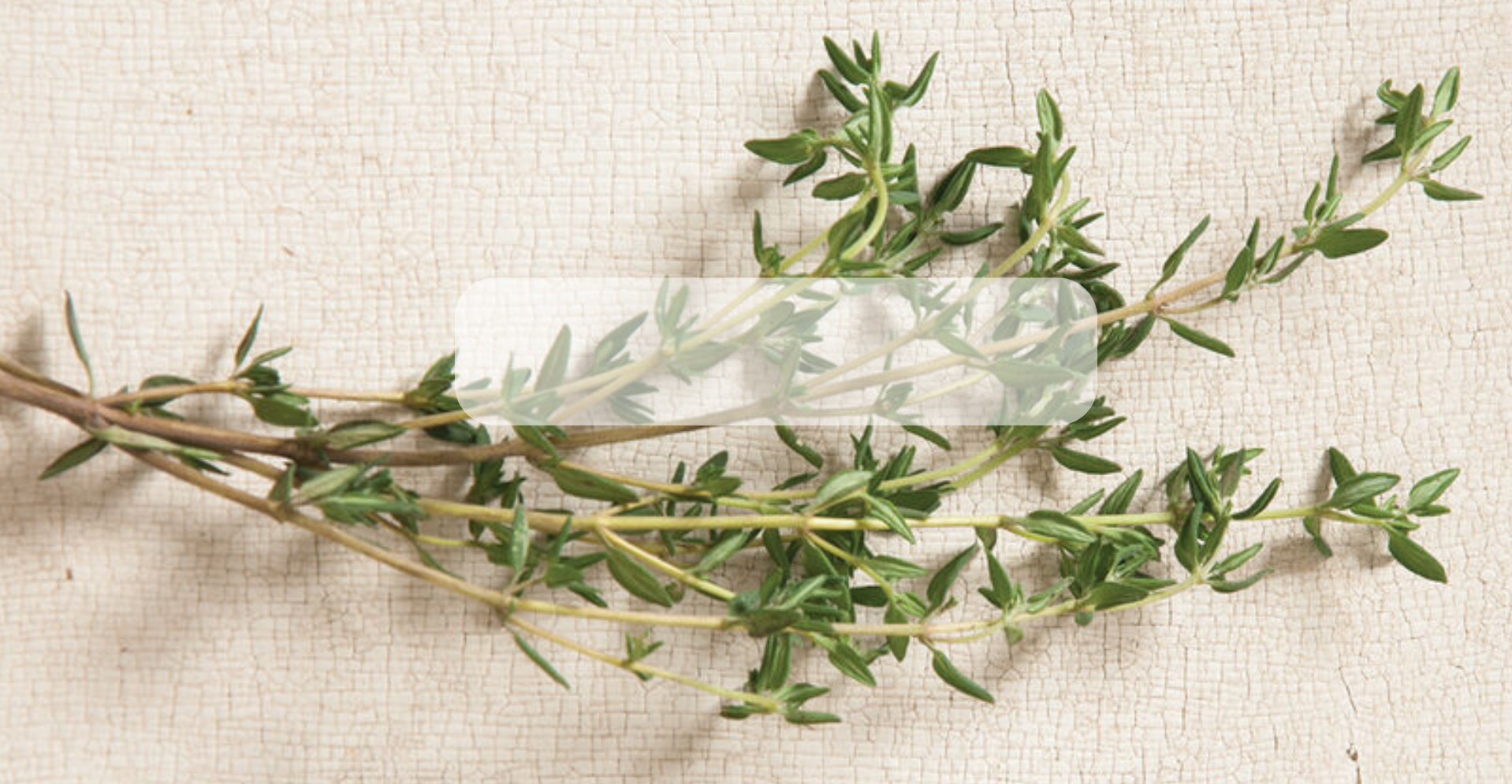 Semillas de Tomillo Orgánico