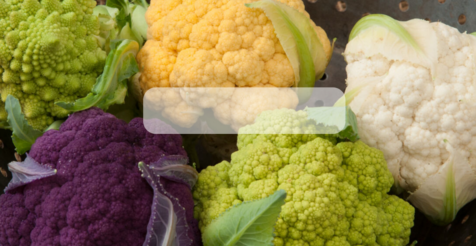 Semillas de Coliflor