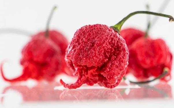 Las semillas de pimiento más picantes del mundo