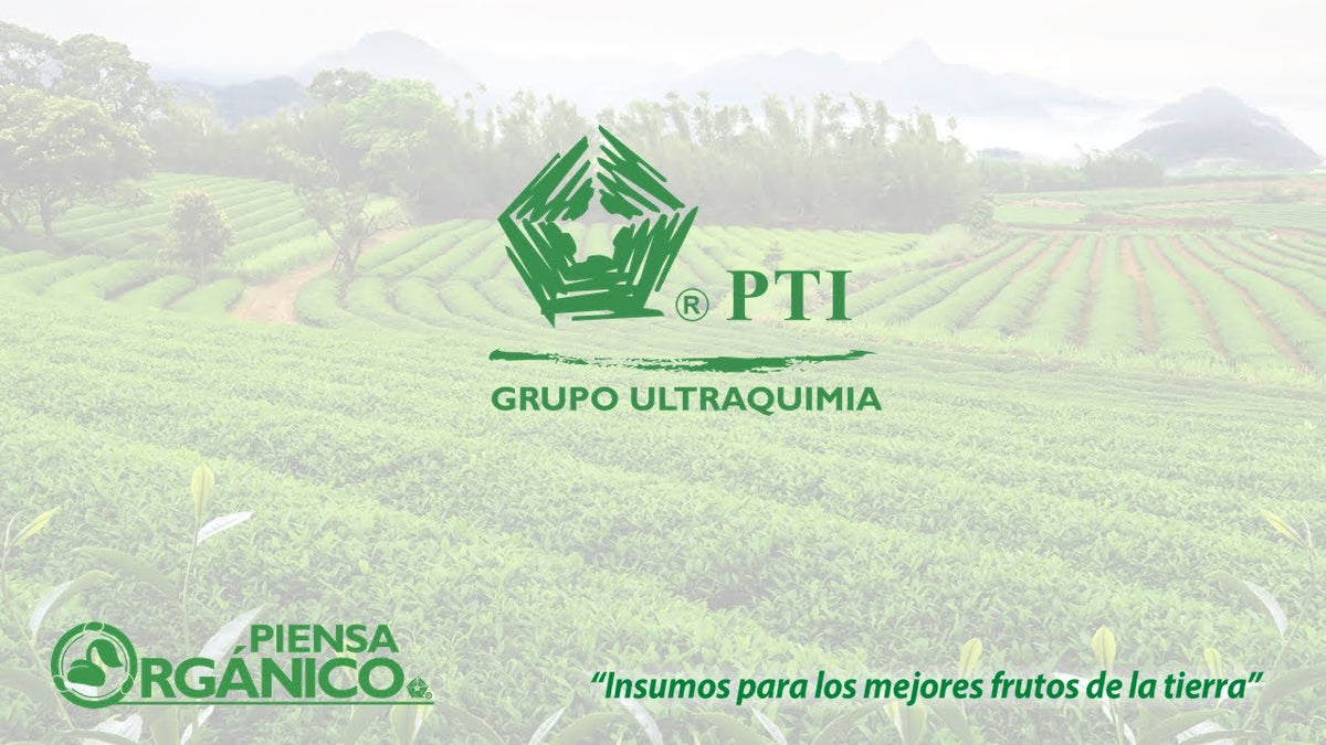 PTI - ULTRAQUIMIA