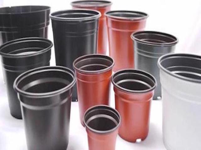 MACETAS Y BOLSAS