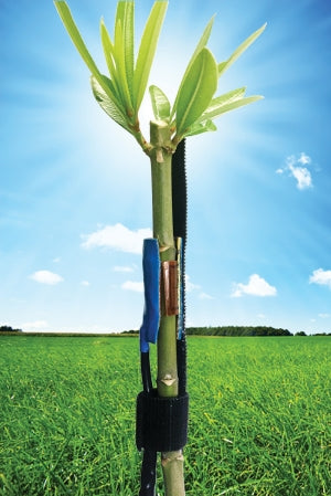 Sensores de Flujo de Savia Vegetal