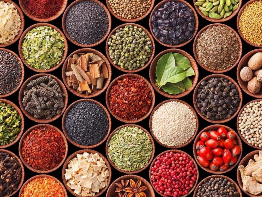 SEMILLAS ORGANICAS