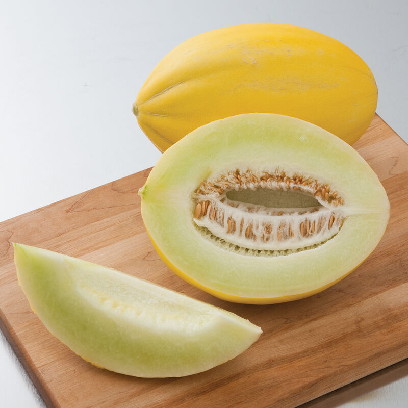 Brilliant - Semillas F1 de Melón