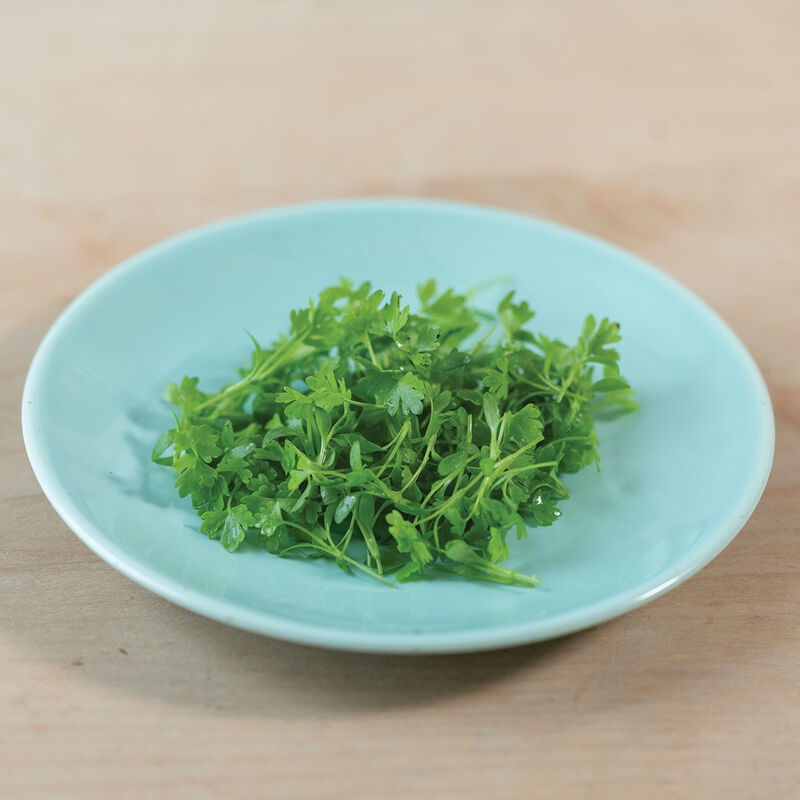 Cutting Celery - Semillas para Germinados de Hierba de Apio

