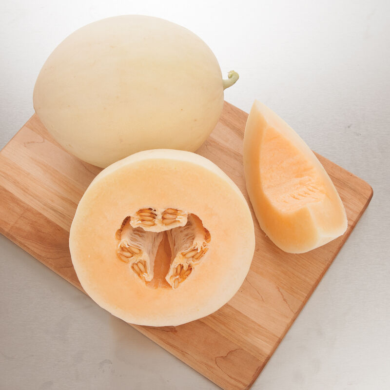 Honey Orange - Semillas F1 de Melón