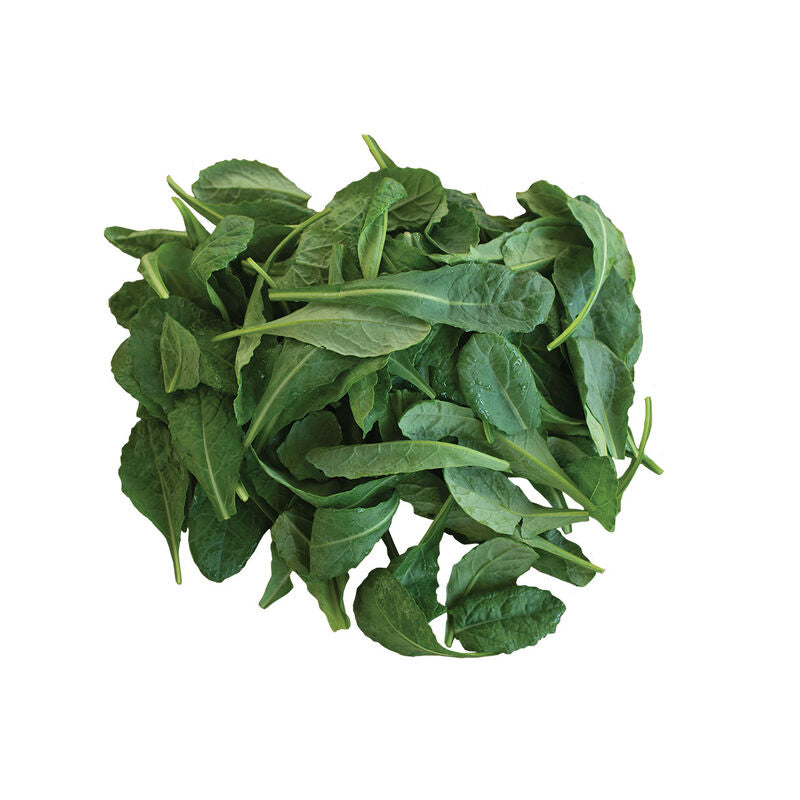 Toscano - Semillas Orgánicas de Hoja de Col Rizada (Kale)