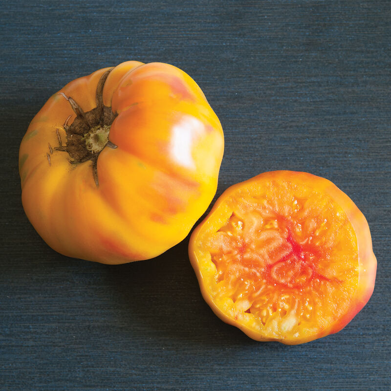 Striped German - Semillas de Tomate Amarillo Orgánico