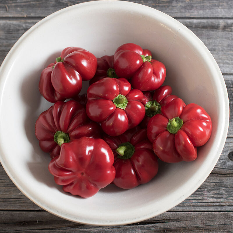 Round of Hungary - Semillas Orgánicas de Pimiento Cereza