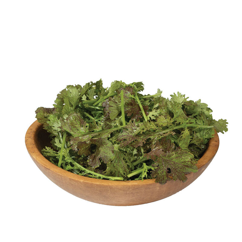 Scarlet Frills - Semilla de mostaza verde