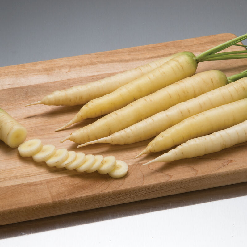 White Satin - Semillas Orgánicas Peletizadas F1 de Zanahoria Blanca