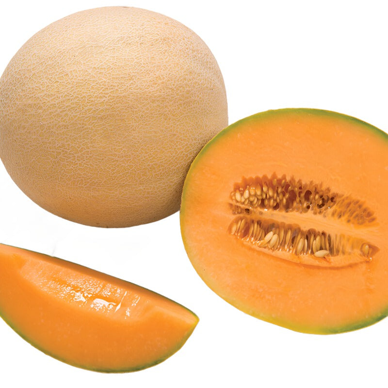 Sarah's Choice - Semillas F1 de Melón