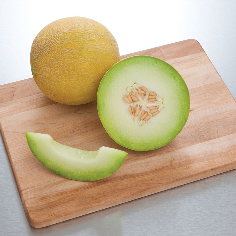 Diplomat - Semillas F1 de Melón