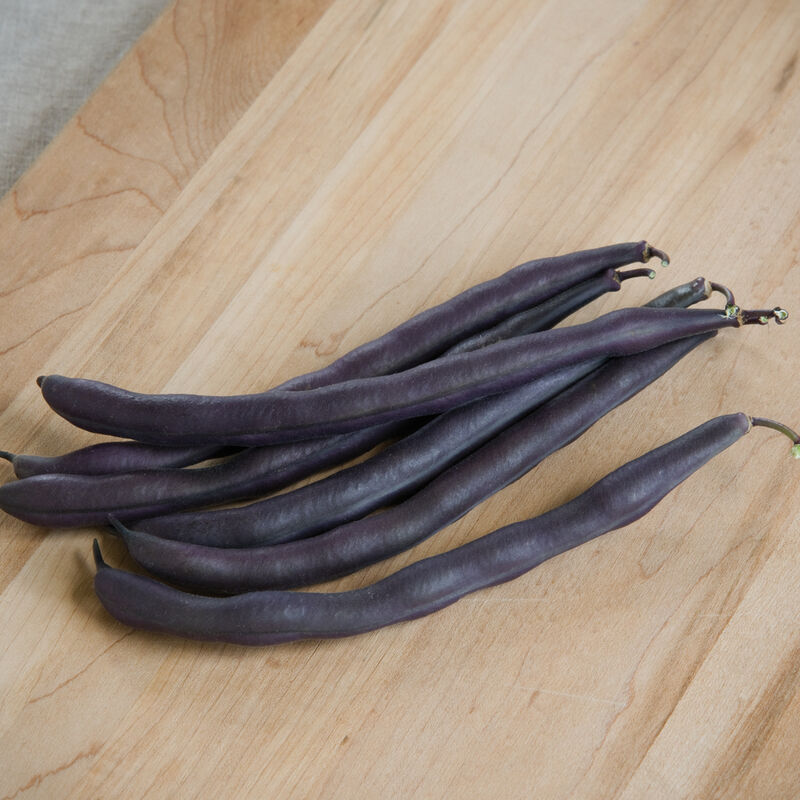 Royal Burgundy - Semillas Orgánicas de Frijol Morado