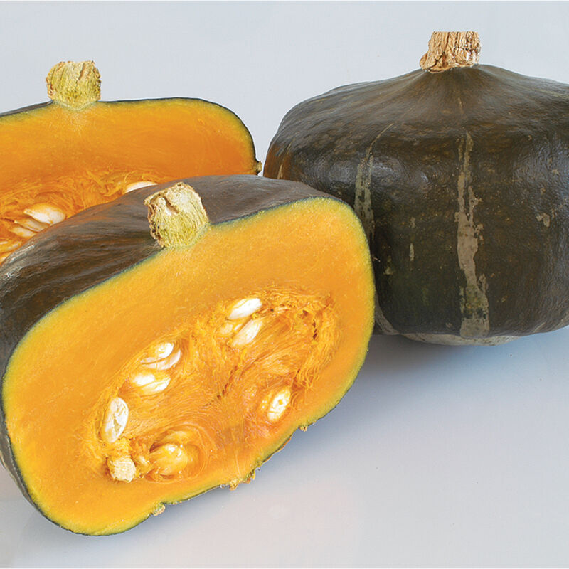 Bonbon - Semillas F1  de Calabaza Kabocha