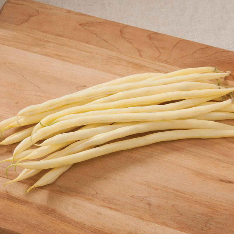 Monte Gusto - Semilla de frijol