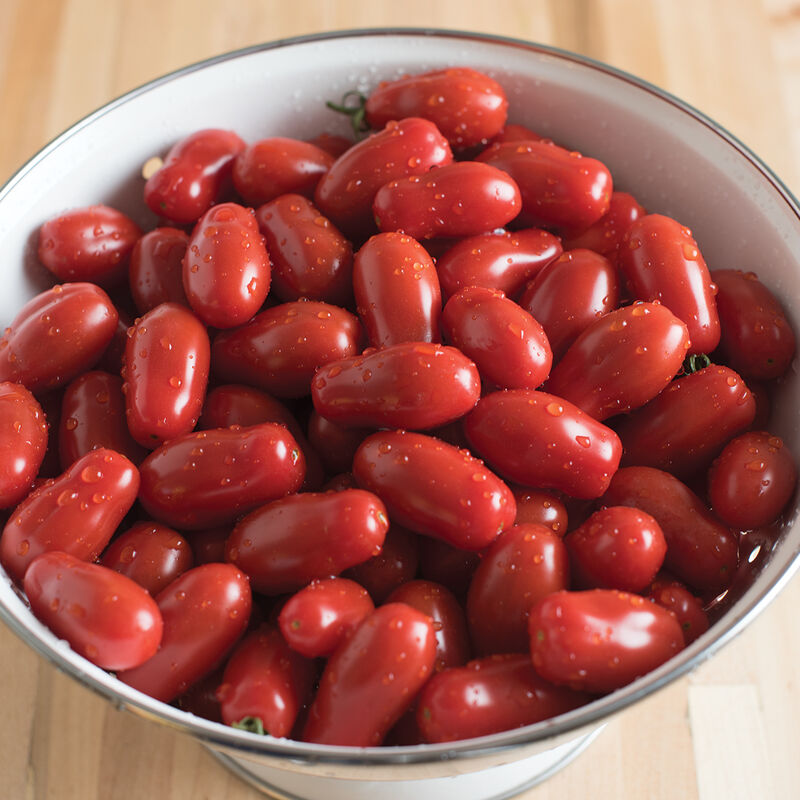 Valentine - Semillas F1 de Tomate Pera Orgánico