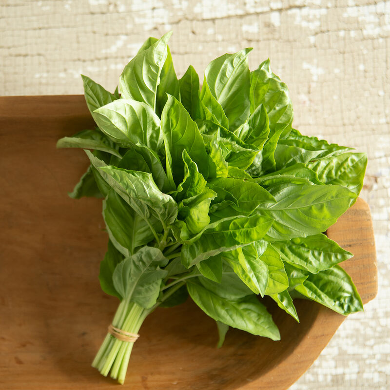 Newton - Semillas de Albahaca