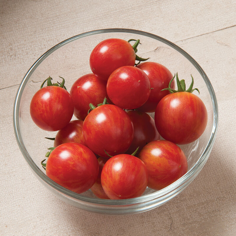 Pink Bumble Bee - Semillas de Tomate Cherry Orgánico