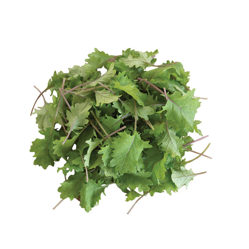 Red Russian - Semillas Orgánicas de Col Rizada