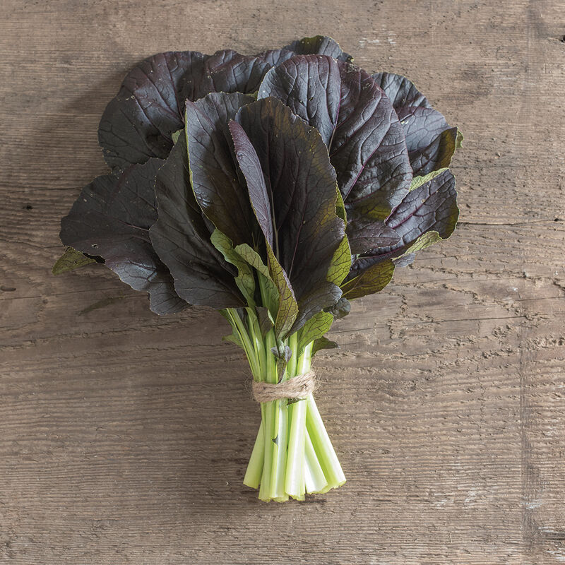 Red Kingdom - Semillas F1 de Hoja de Asiática de Mostaza