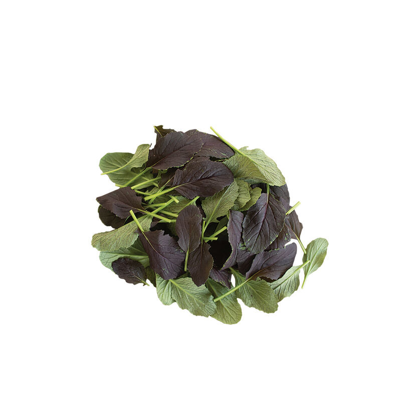 Red Kingdom - Semillas F1 de Hoja de Asiática de Mostaza