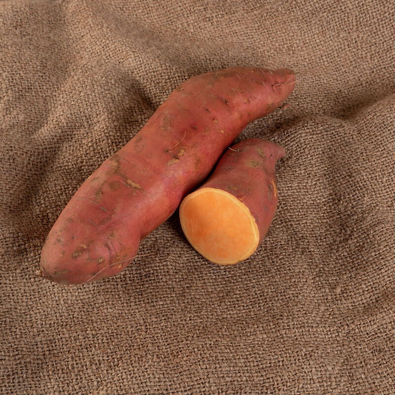 Covington Patatas dulces orgánicas