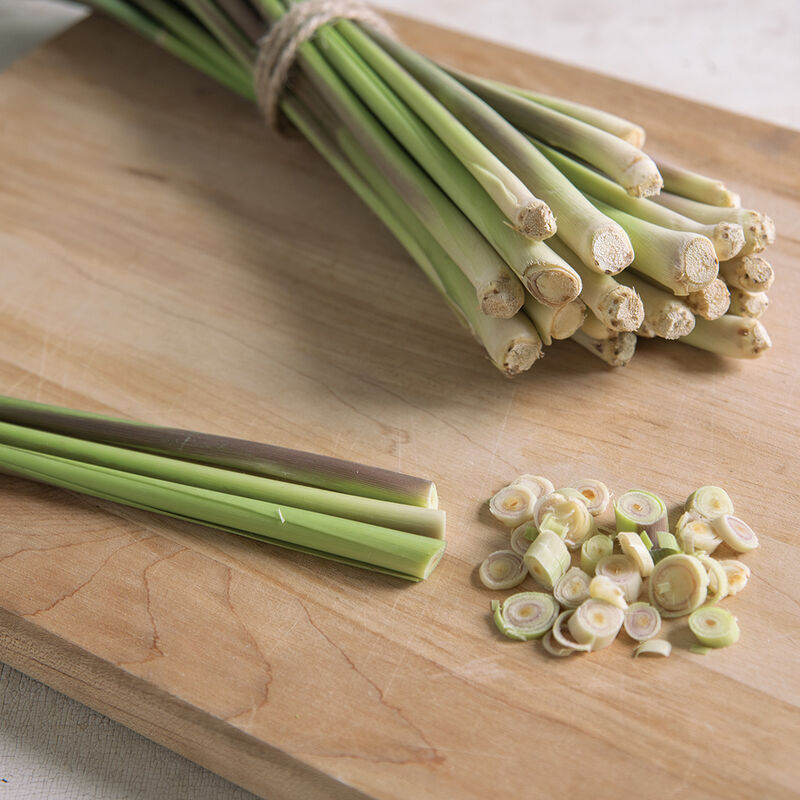 Semillas de Hierba de Limón de la India Oriental