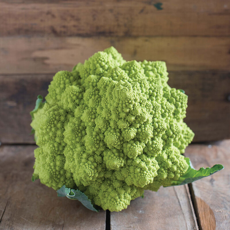 Puntoverde (F1) Semilla de coliflor