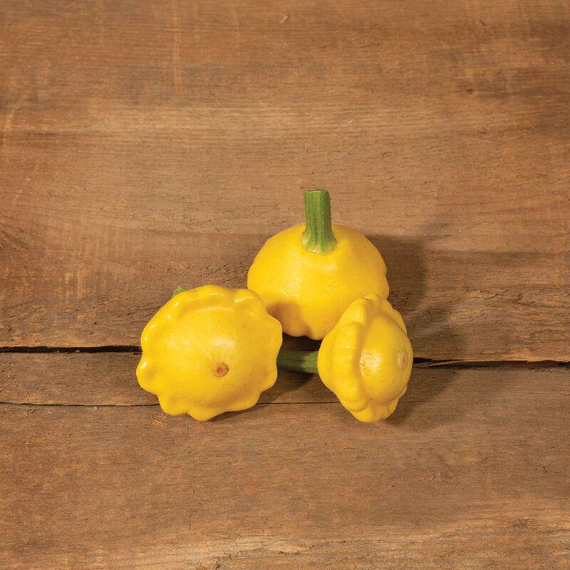 Lemon Sun (F1) Semilla de calabaza Patty Pan