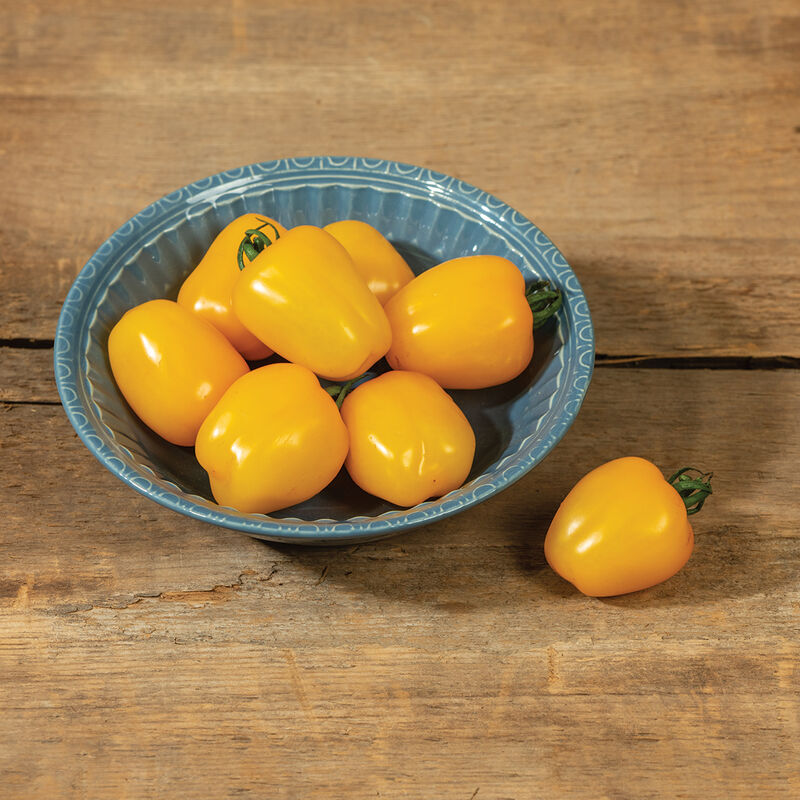 Apple Yellow - Semillas F1 de Tomate Amarillo