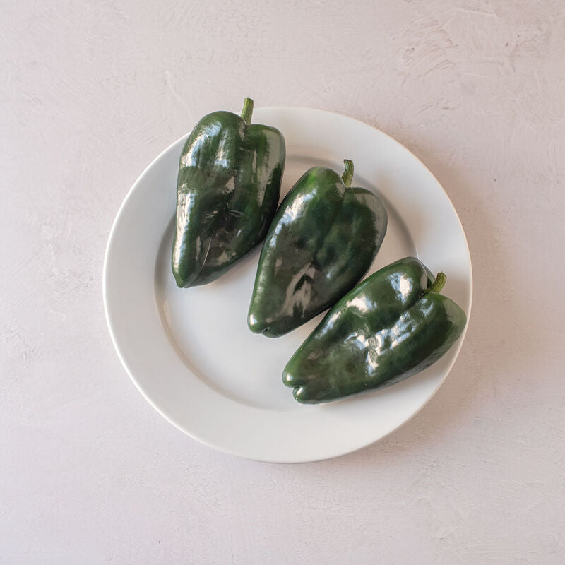 Sargento- F1  Semilla de chile poblano